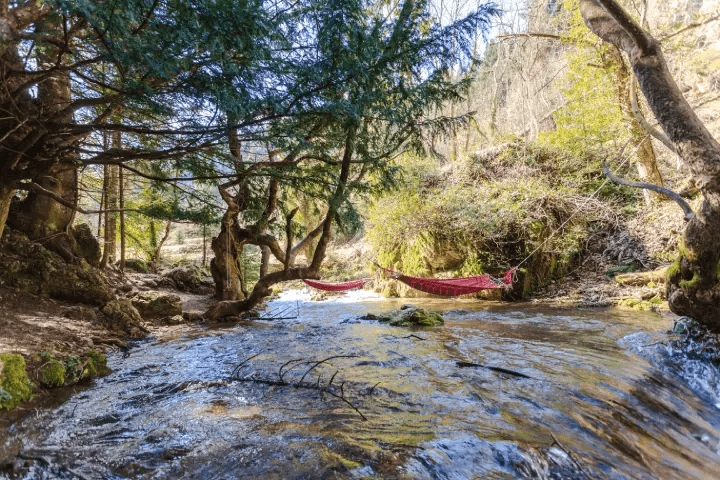 river inside a forrest in pavliani