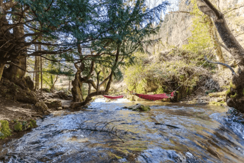 river inside a forrest in pavliani